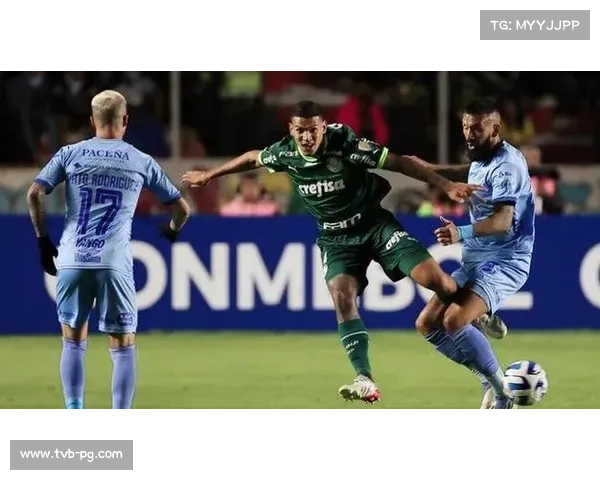 帕尔梅拉斯与弗拉门戈会师利马,争夺队史第四座解放者杯 帕尔梅拉斯与弗拉门戈会师利马,争夺队史第四座解放者杯